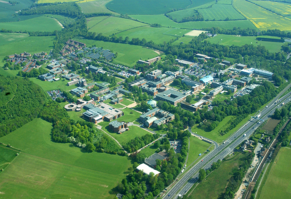 KINGS BRIGHTON - BRIGHTON